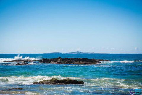 Magical Mystery Bay Road - Accommodation Southport 7