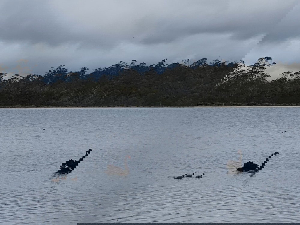 Southport Accommodation