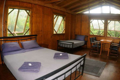 Daintree Rainforest Bungalows - Southport Accommodation 4