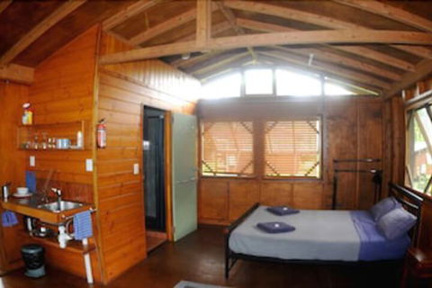 Daintree Rainforest Bungalows - Southport Accommodation 7