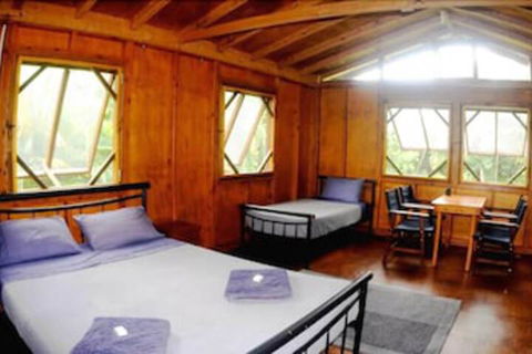 Daintree Rainforest Bungalows - Southport Accommodation 5