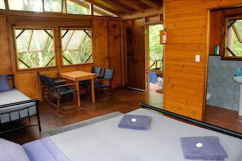 Daintree Rainforest Bungalows - Southport Accommodation 6