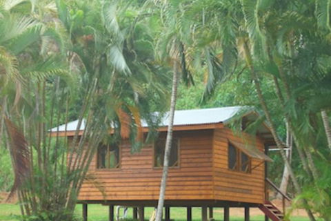 Daintree Rainforest Bungalows - Southport Accommodation 0
