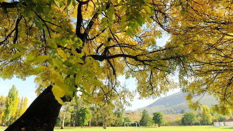 Junction Motel - Southport Accommodation 1