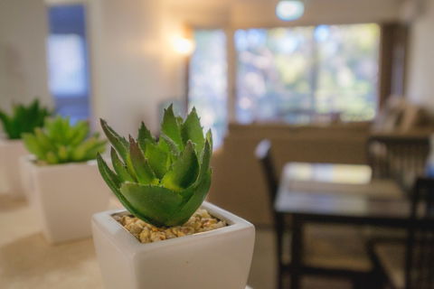 Sanctuary Lake Apartments - Southport Accommodation 6