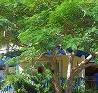 Amber Gardens Guesthouse - Southport Accommodation