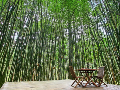 Azabu Boutique Accommodation Byron Bay - Southport Accommodation 0