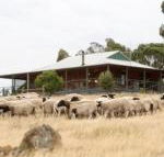 Gilgraves Vineyard Farmstay - Southport Accommodation