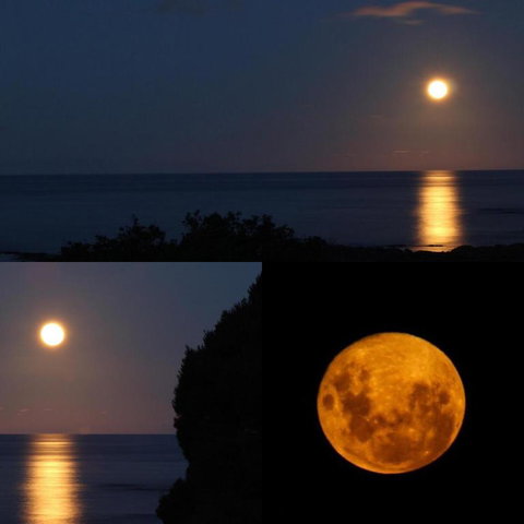 Goat Island Bungalow - Southport Accommodation 1