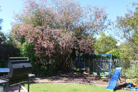 Sisters Beach Paradise - Southport Accommodation 3