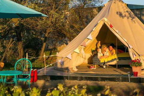 Grapevine Glamping - Accommodation Southport 2