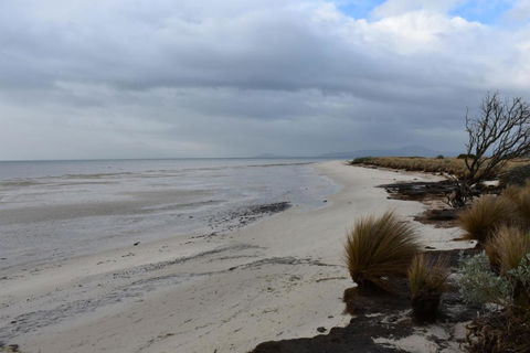 Tidal Dreaming Seaview Cottages - Southport Accommodation 6