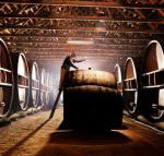 Pieter van Gent Winery  Vineyard - Southport Accommodation