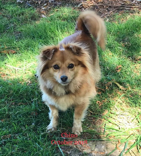 Acacia Hills Retreat - Accommodation Southport 4