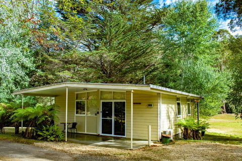 Russell Falls Holiday Cottages - Southport Accommodation 1