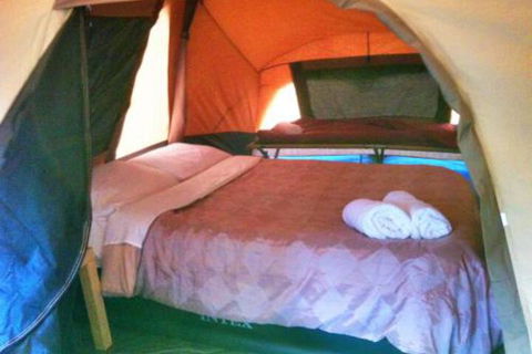 WA Wilderness Glamping - Southport Accommodation 3