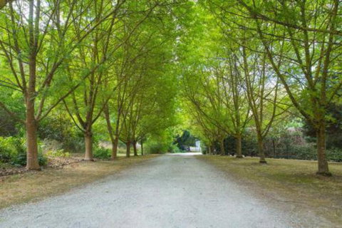 In The Valley - Accommodation Southport 6