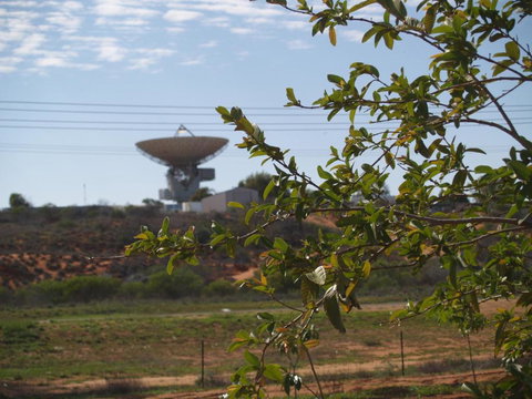 Tropical Farm Stay - Accommodation Southport 4