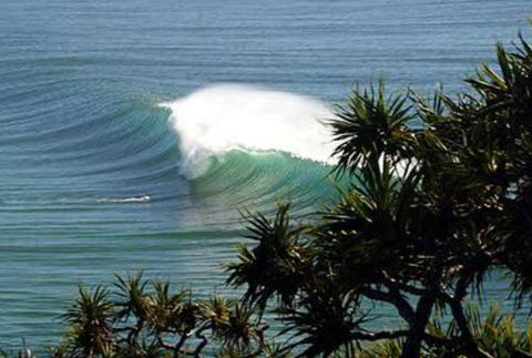 Cabarita Studio - Southport Accommodation 0