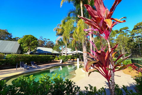 Corella Studio Apartment In Raffetys Resort - Southport Accommodation 3