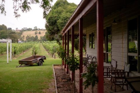 Fergusson Winery Homestead Accomodation - Accommodation Southport 2