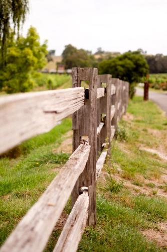 Fergusson Winery Homestead Accomodation - Accommodation Southport 6