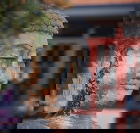 Pagoda Resort  Spa - Southport Accommodation