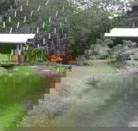 Rainforest Ranch - Southport Accommodation