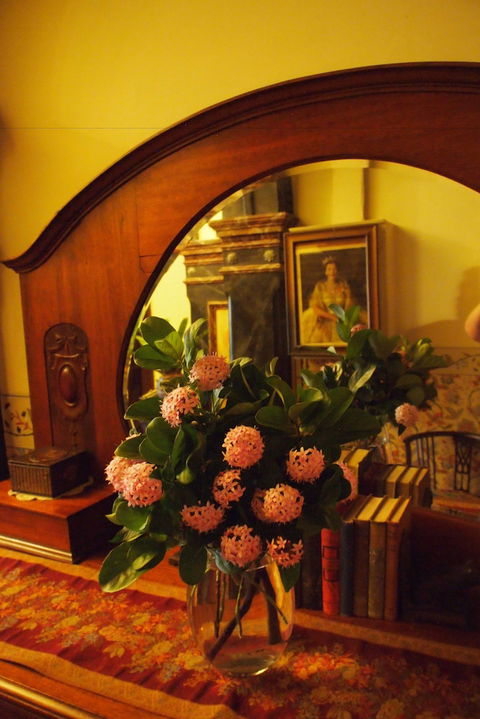 Vacy Hall Toowoomba's Grand Boutique Hotel - Southport Accommodation 6
