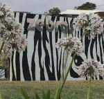 Zebras Guest House - Southport Accommodation