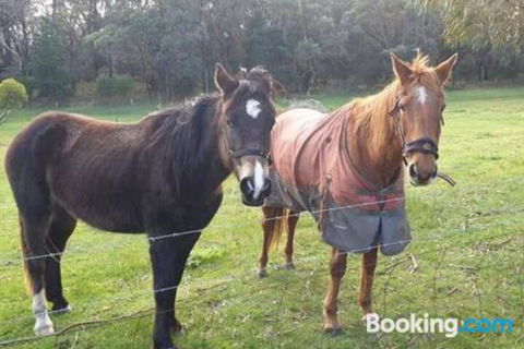 Heritage Bed & Breakfast - Accommodation Southport 3