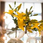 KUI Manhattan Apartments - Accommodation Southport 0