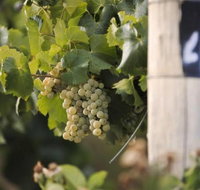 Ingenia Holidays Mudgee Valley - Southport Accommodation