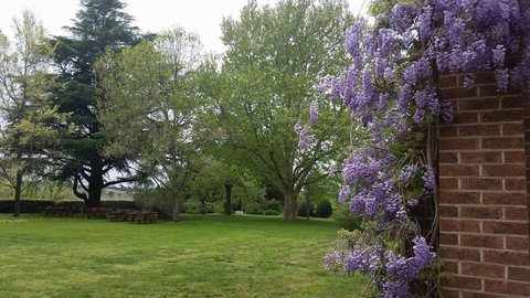 Petersons Armidale Winery & Guesthouse - Accommodation Southport 0