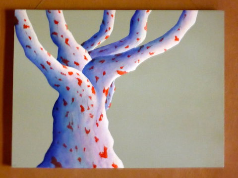 Wildwood Guesthouse - Southport Accommodation 4