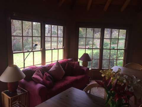 Wildwood Guesthouse - Southport Accommodation 2