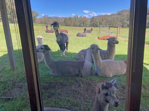 Valley Farm Vineyard Cottages - Accommodation Southport 2