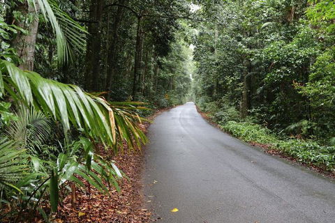 Chambers Wildlife Rainforest Lodges - Southport Accommodation 2