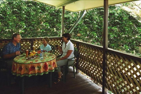 Chambers Wildlife Rainforest Lodges - Southport Accommodation 6