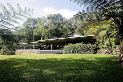 Chambers Wildlife Rainforest Lodges - Southport Accommodation 0