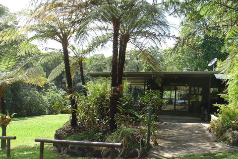 Chambers Wildlife Rainforest Lodges - Southport Accommodation 3