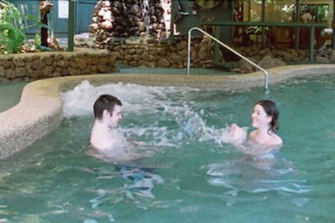 Chambers Wildlife Rainforest Lodges - Southport Accommodation 4