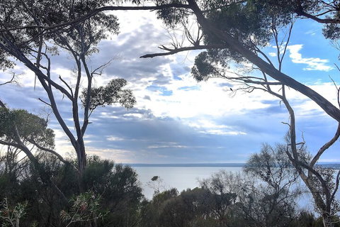 Wanderers Rest Of Kangaroo Island - Accommodation Southport 7