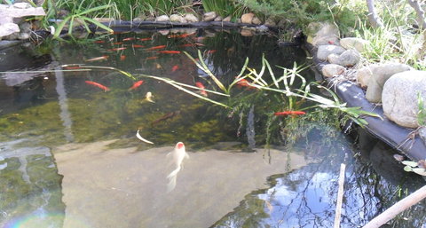 Settlement Motor Inn, Deniliquin - Accommodation Southport 3