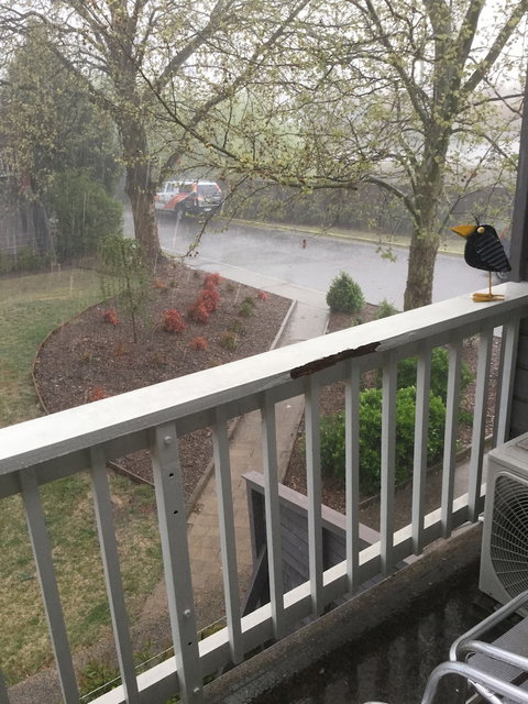 Alloggio Bathurst Apartments - Accommodation Southport 6