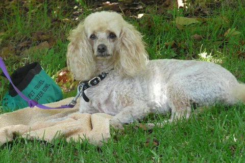 Granite Gardens Cottages & Lake Retreat - Accommodation Southport 6