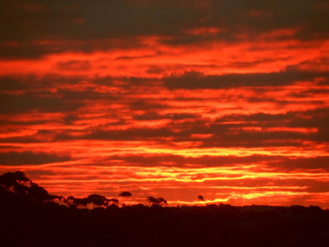 Tennessee Hill Chalets - Accommodation Southport 0