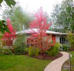 Dalrymples Guest Cottages