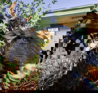 Big4 Shepparton Park Lane - Southport Accommodation