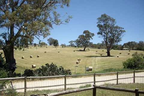 1860 Wine Country Cottages - Southport Accommodation 4